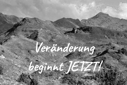 Als Change Mentor helfe ich Dir, Veränderung erfolgreich zu gestalten - persönlich und organisatorisch.