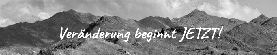 Als Change Mentor helfe ich Dir, Veränderung erfolgreich zu gestalten - persönlich und organisatorisch.